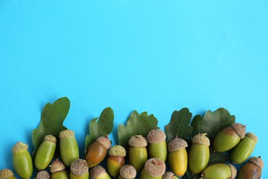 Photo of Many green acorns and oak leaves on light blue background, flat lay. Space for text
