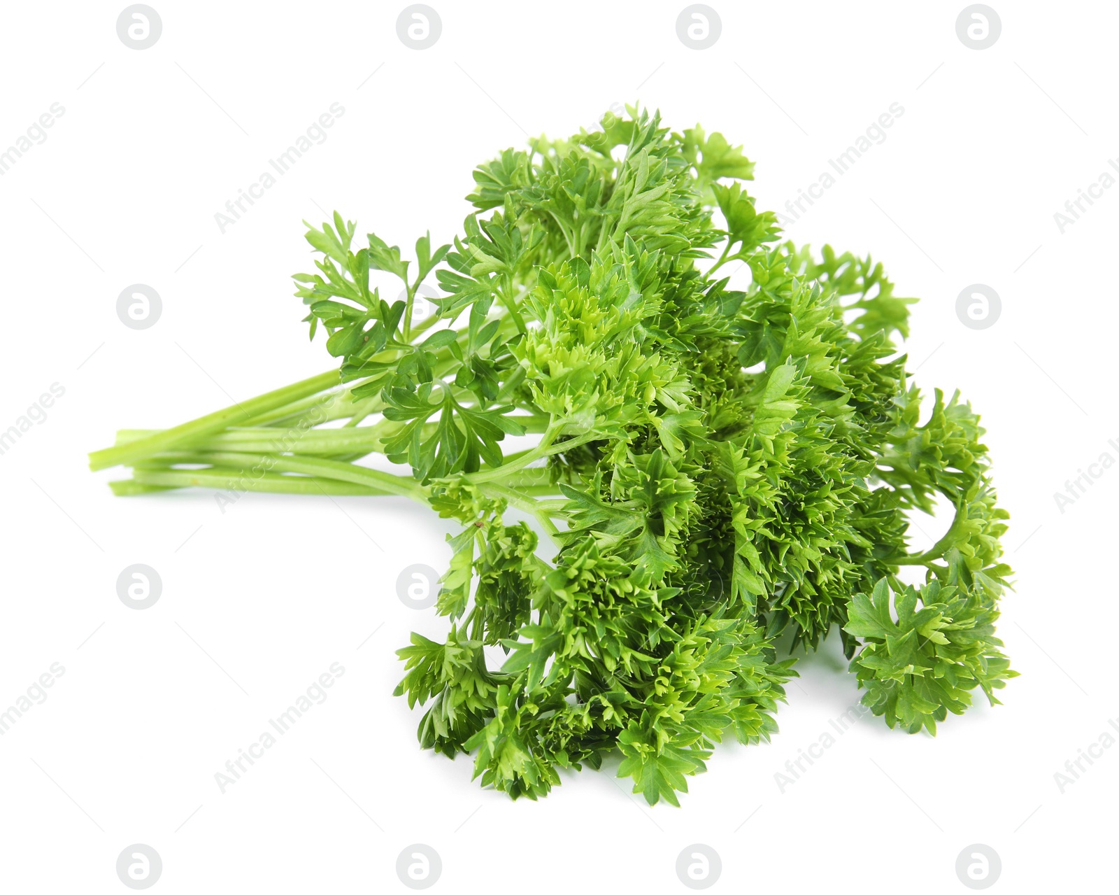 Photo of Fresh green organic parsley on white background