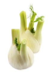 Photo of Fresh raw fennel bulbs isolated on white