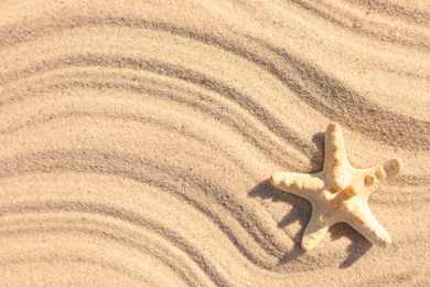 Starfish on beach sand with wave pattern, top view. Space for text