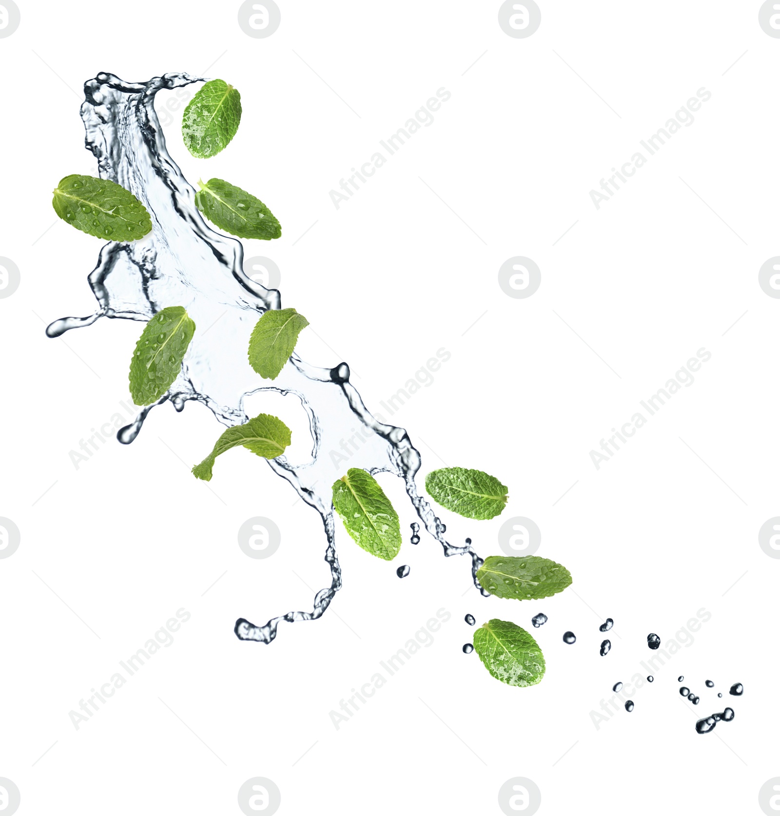 Image of Set of flying green mint leaves with splash of water on white background