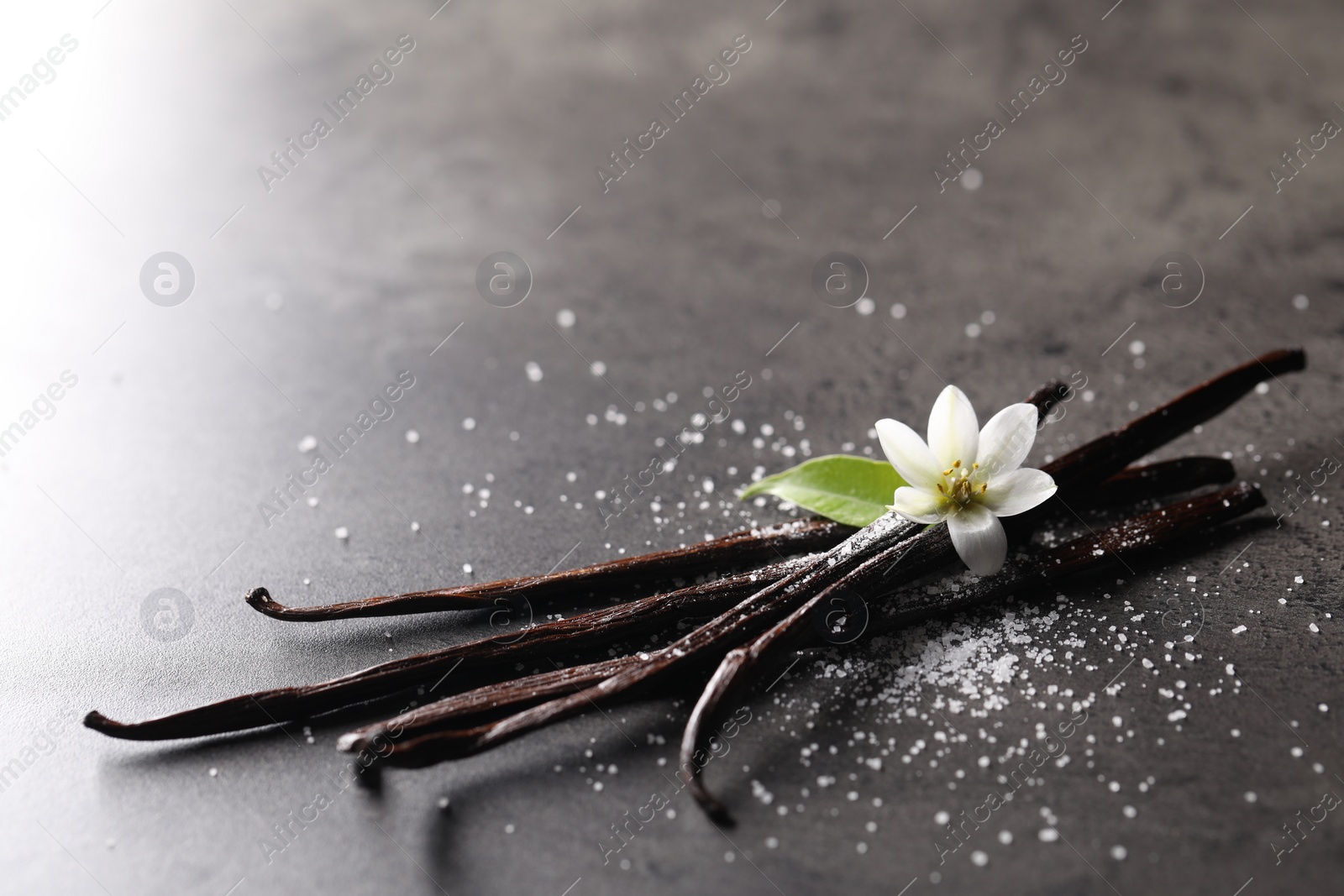 Photo of Vanilla pods, flower, leaf and sugar on grey textured table, closeup. Space for text