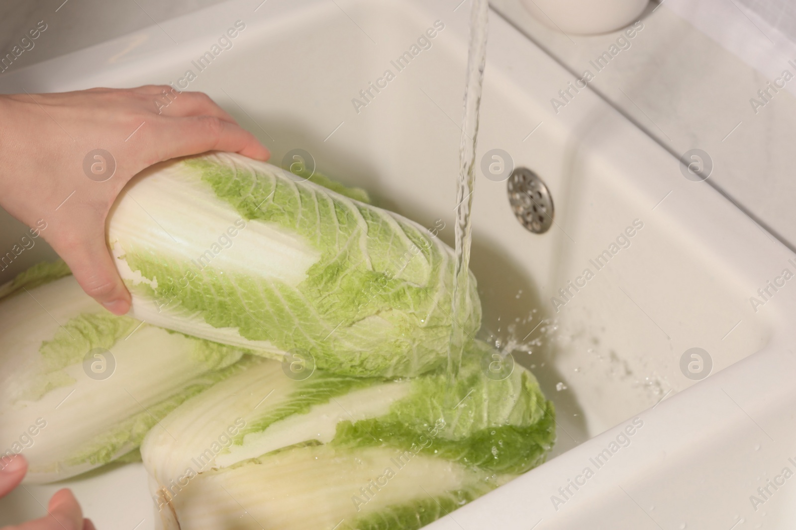 Photo of Woman washing fresh chinese cabbage under tap water in kitchen sink, closeup