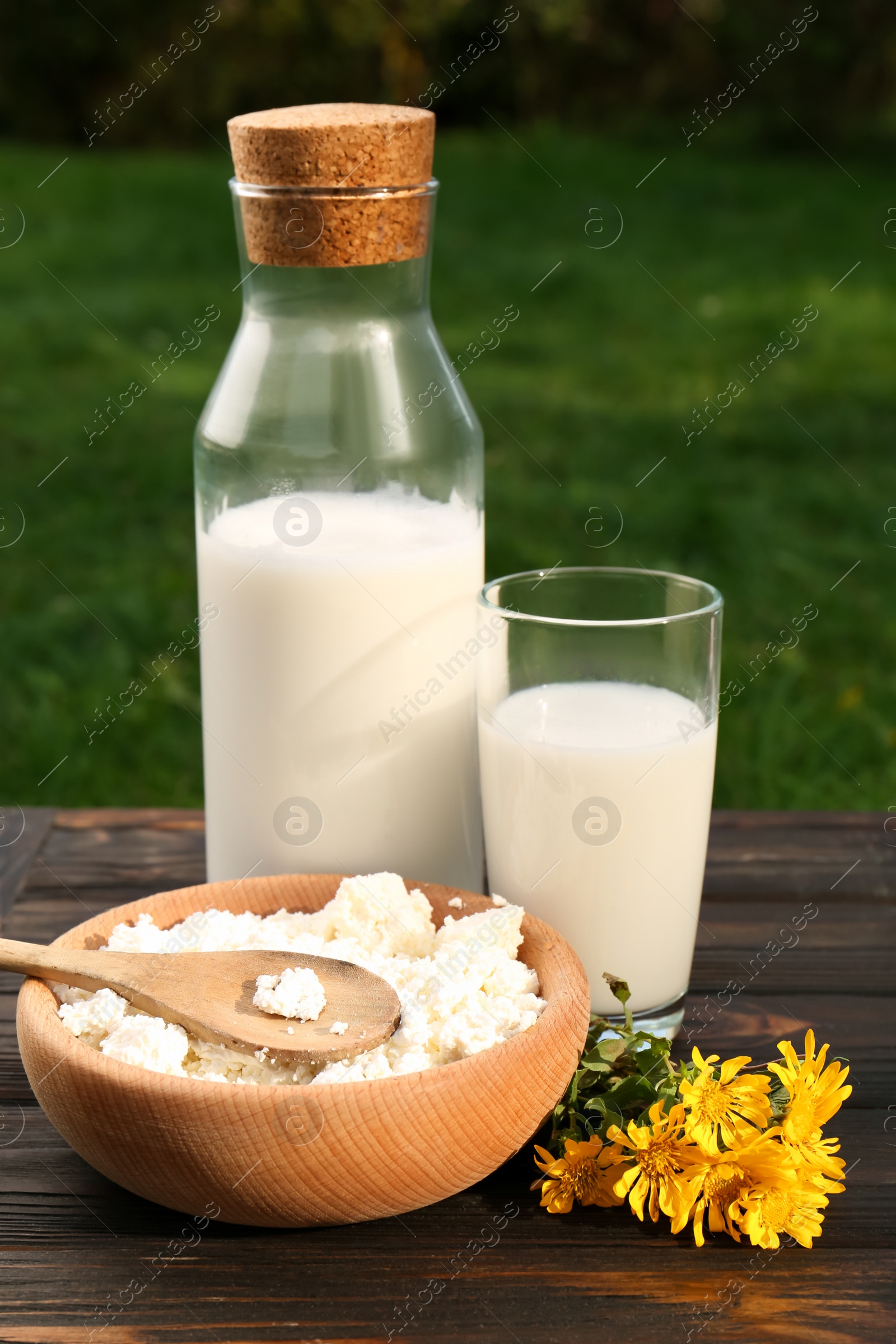 Photo of Tasty fresh milk and cottage cheese on wooden table outdoors