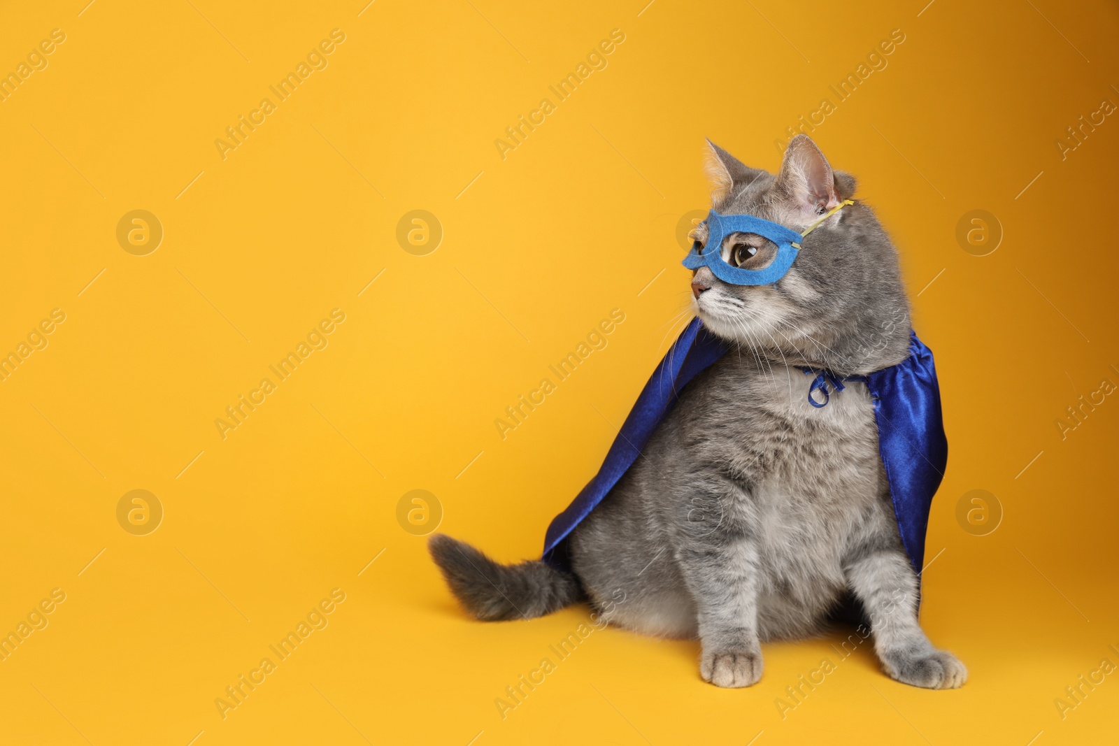 Photo of Adorable cat in blue superhero cape and mask on yellow background, space for text