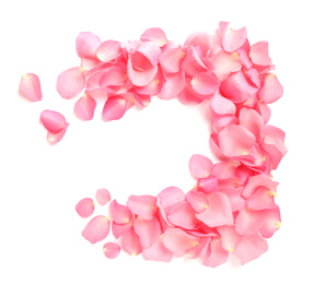 Photo of Fresh pink rose petals on white background, top view