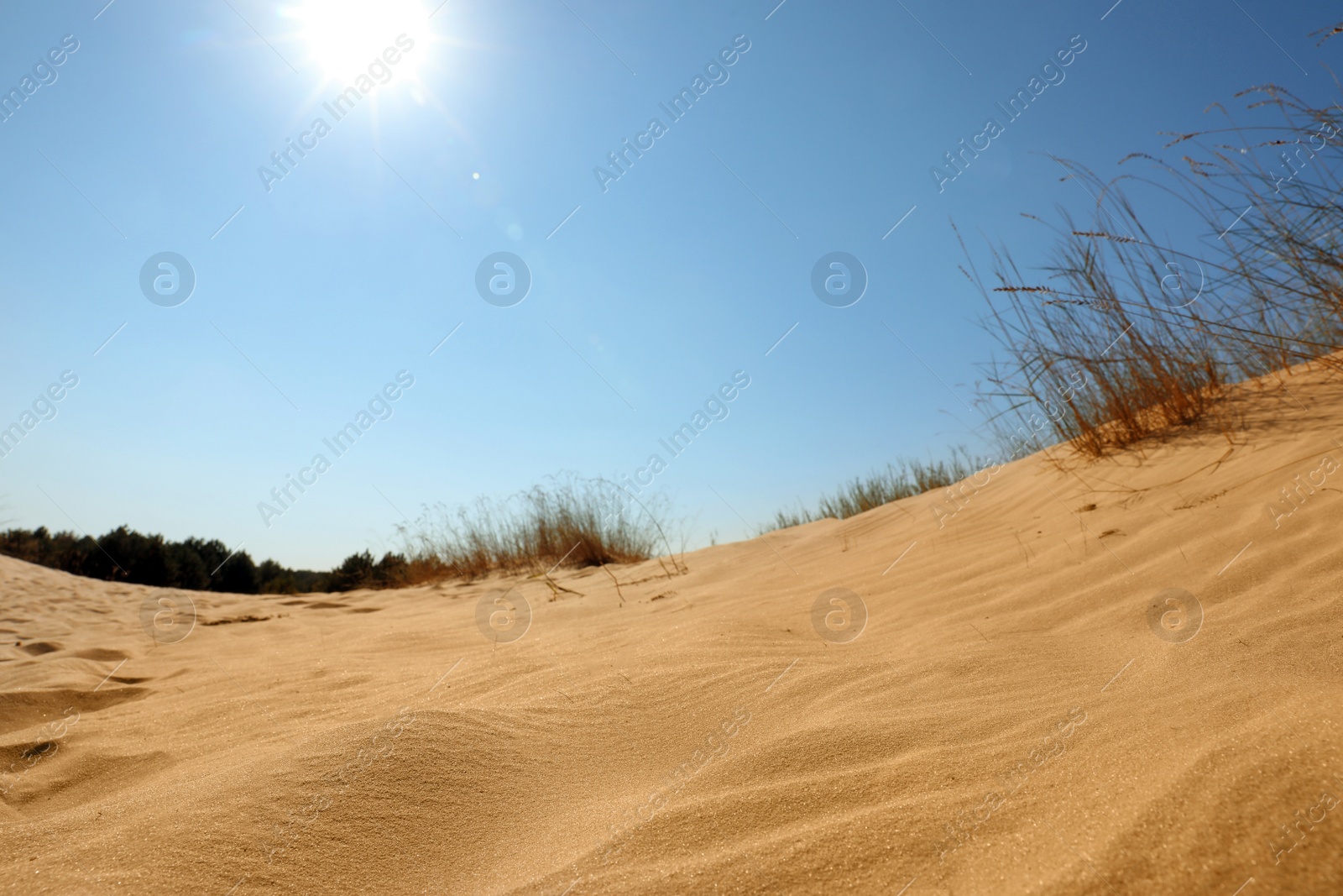 Photo of Picturesque view of desert on sunny day