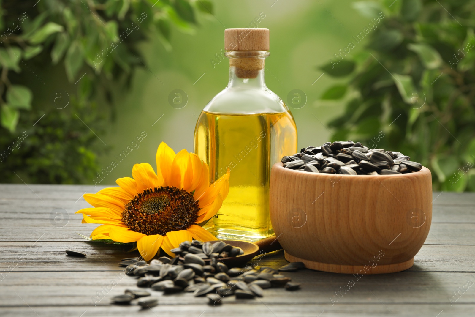 Photo of Sunflower, bottle of oil and seeds on wooden table against blurred background