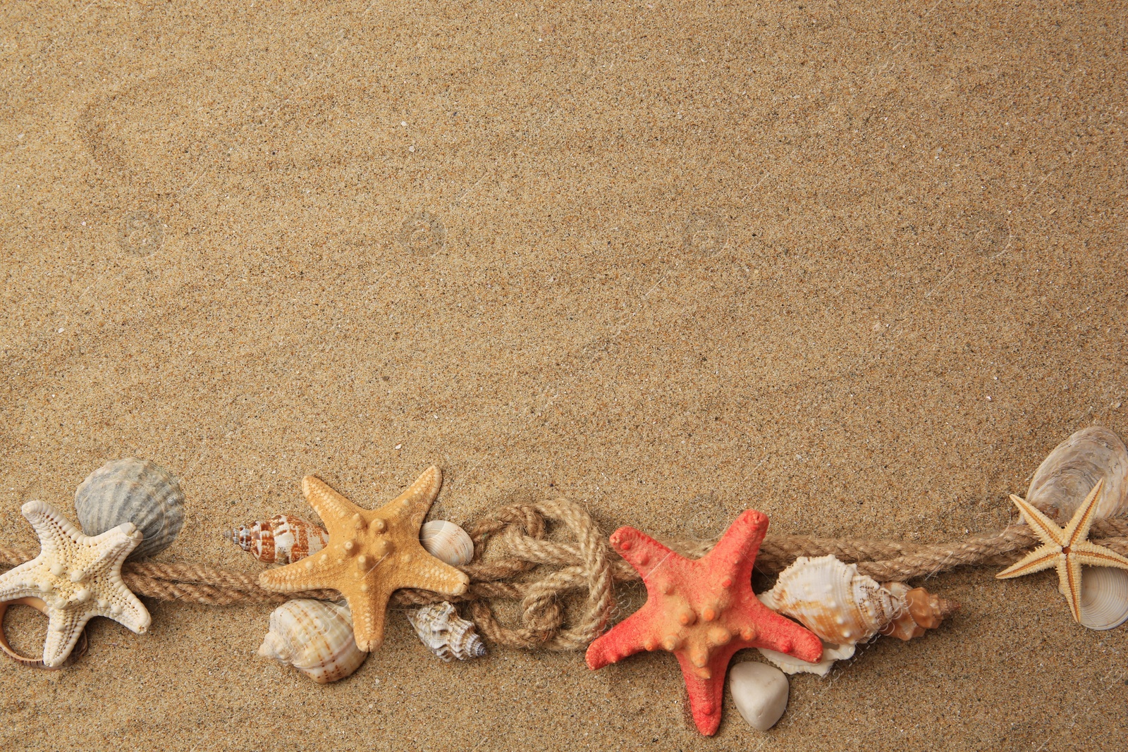 Photo of Beautiful sea stars, shells and ropes on sand, flat lay. Space for text