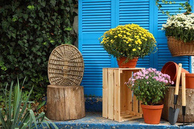 Photo of Beautiful fresh chrysanthemum flowers and gardening tools on stairs outdoors