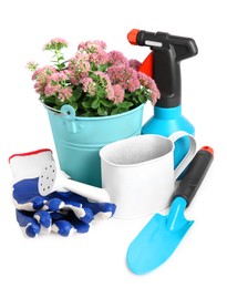 Watering can with flowers and gardening tools on white background