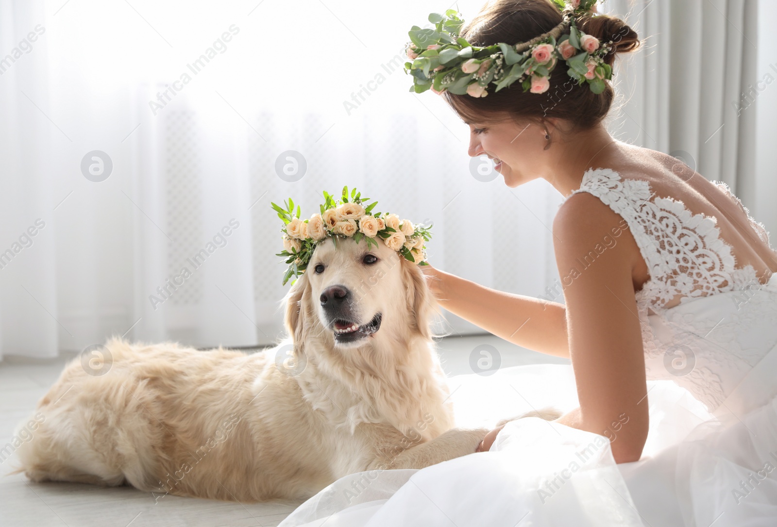 Photo of Bride and adorable Golden Retriever wearing wreath made of beautiful flowers indoors