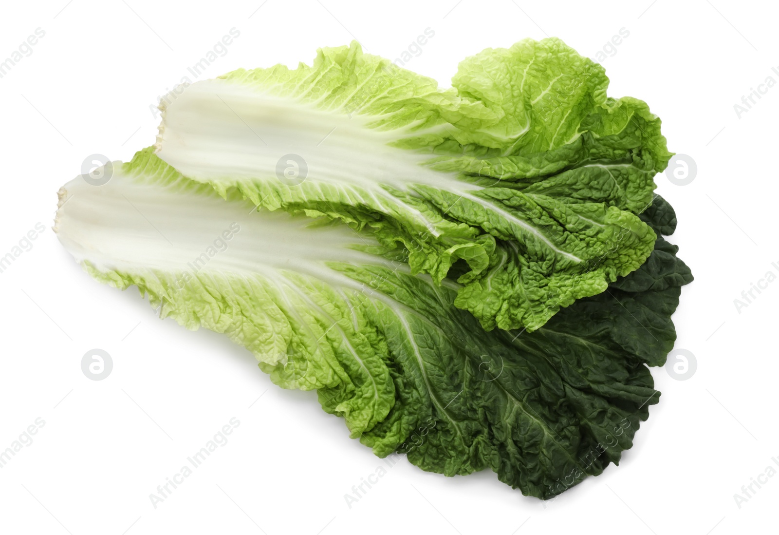 Photo of Leaves of Chinese cabbage on white background