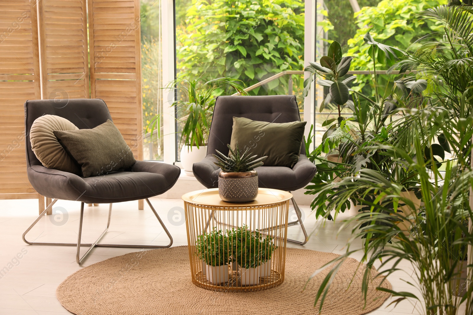 Photo of Lounge area interior with comfortable armchairs and houseplants