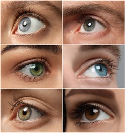 Image of Collage with photos of people with beautiful eyes of different colors