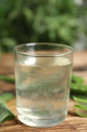 Photo of Fresh aloe drink in glass and leaves on wooden table