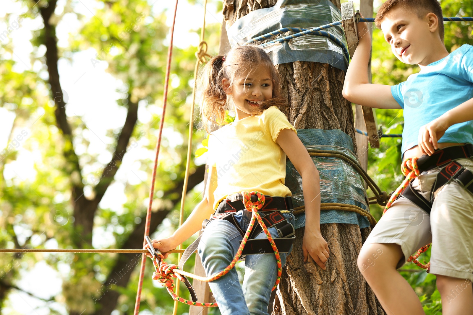 Photo of Little children climbing in adventure park. Summer camp