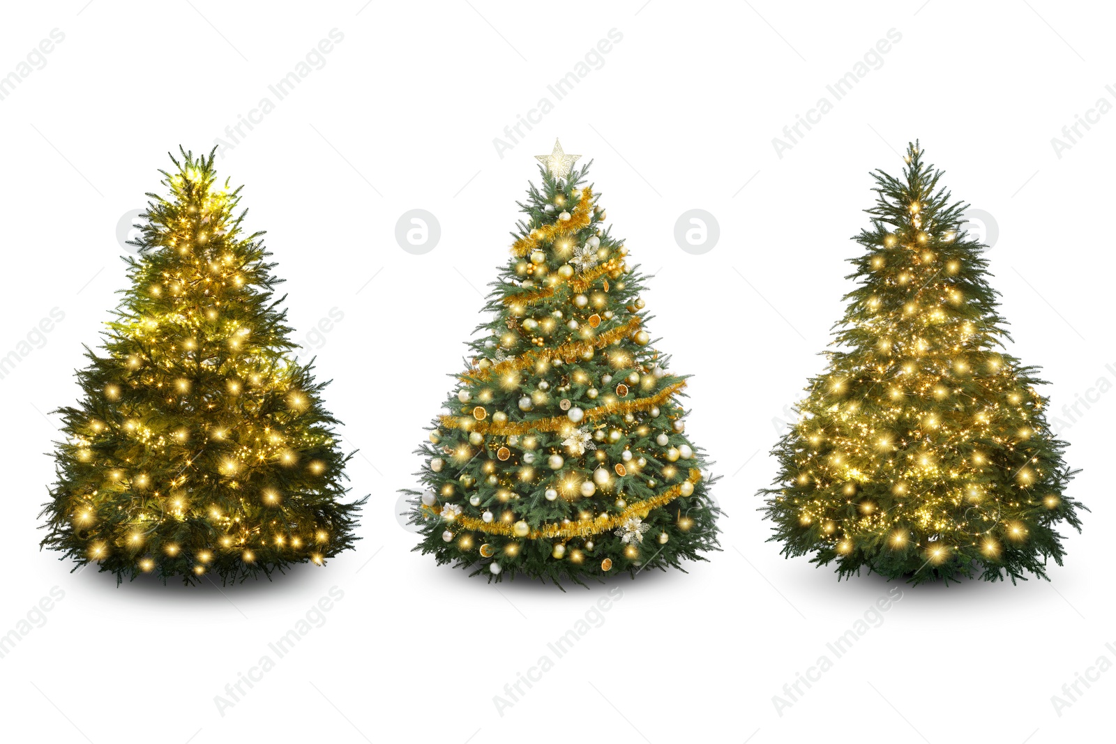 Image of Christmas trees decorated with ornaments and festive lights isolated on white, set