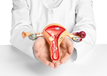 Photo of Gynecologist holding model of female reproductive system on white background, closeup