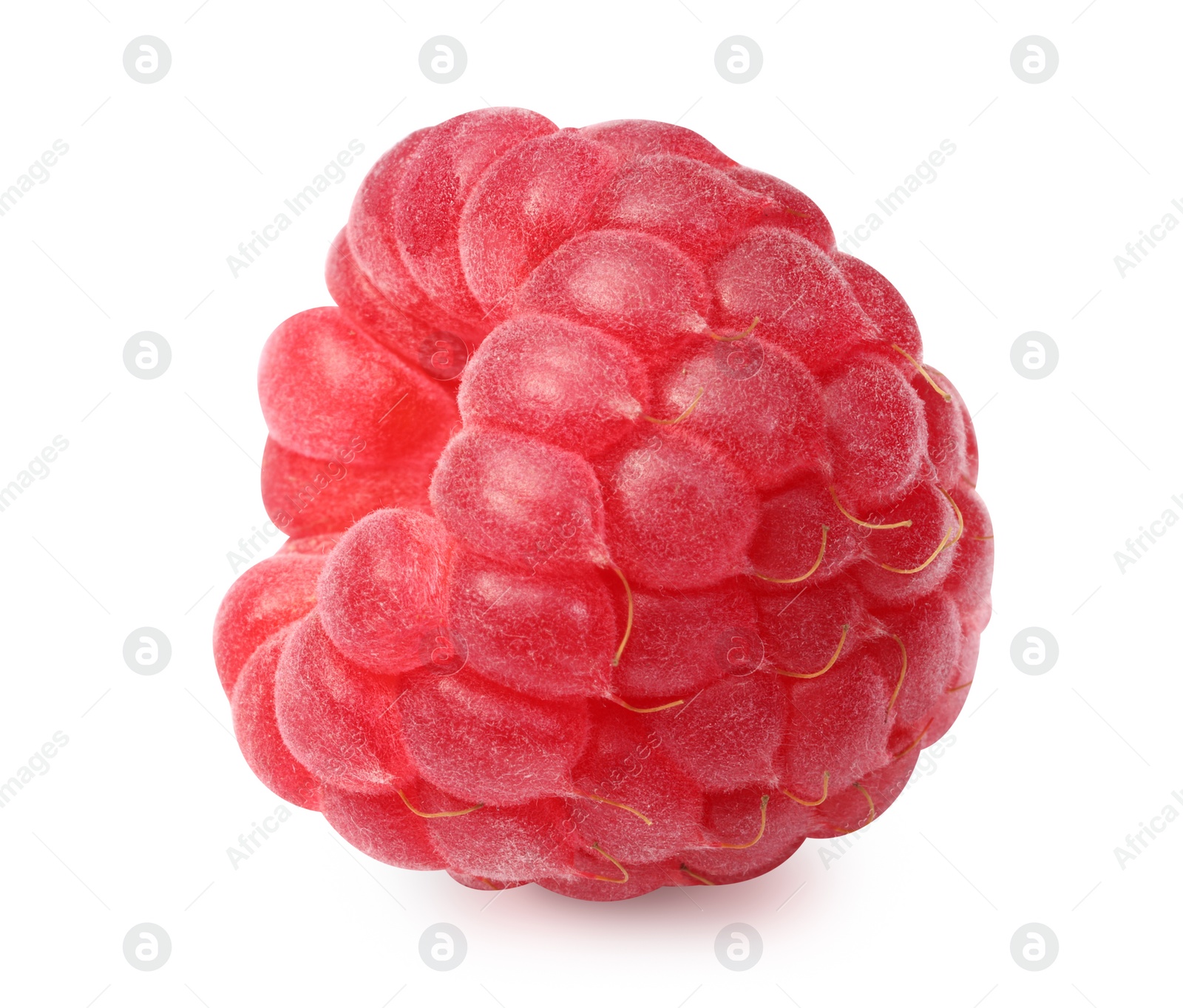 Photo of One tasty ripe raspberry isolated on white