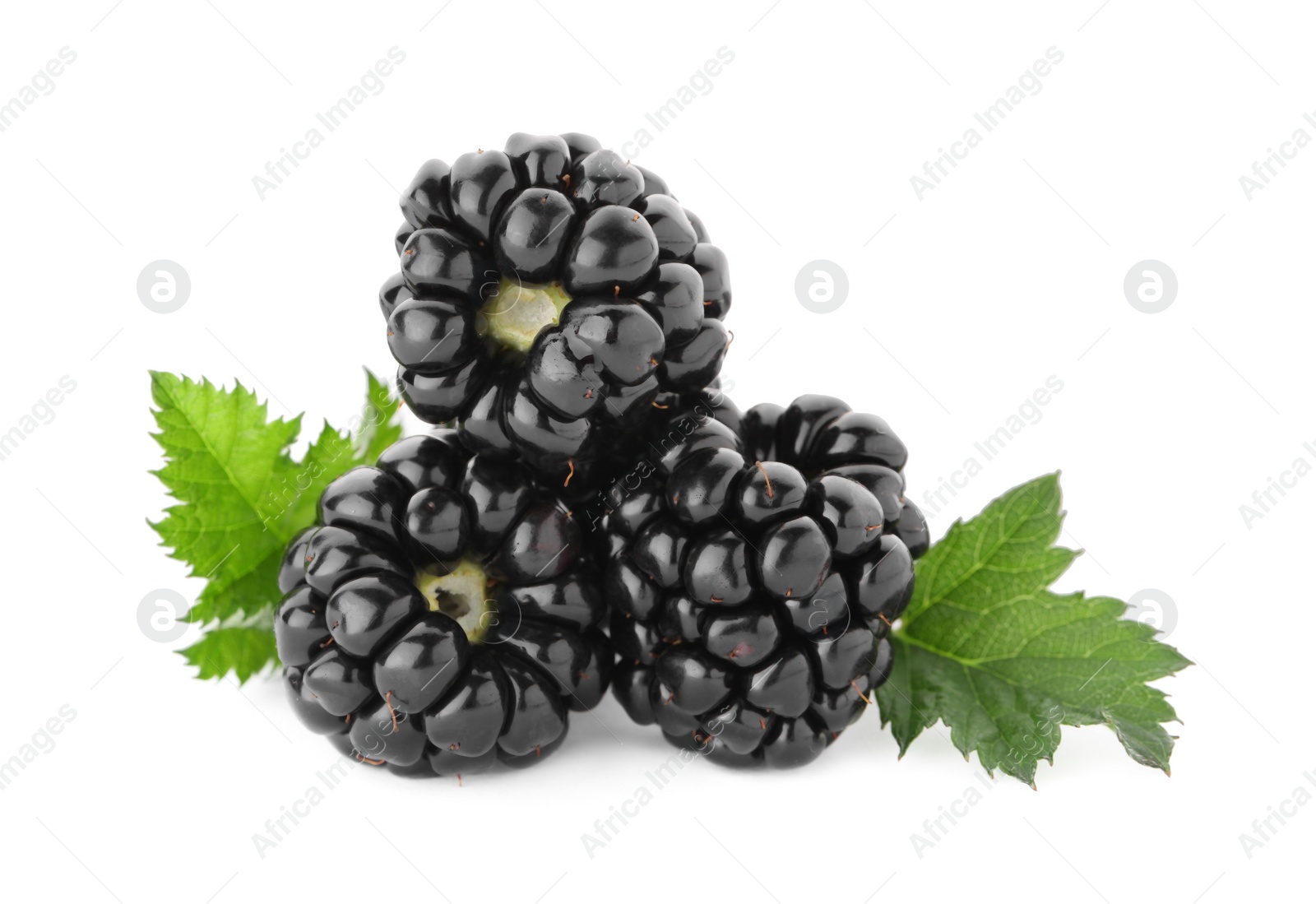 Photo of Tasty ripe blackberries and leaves on white background