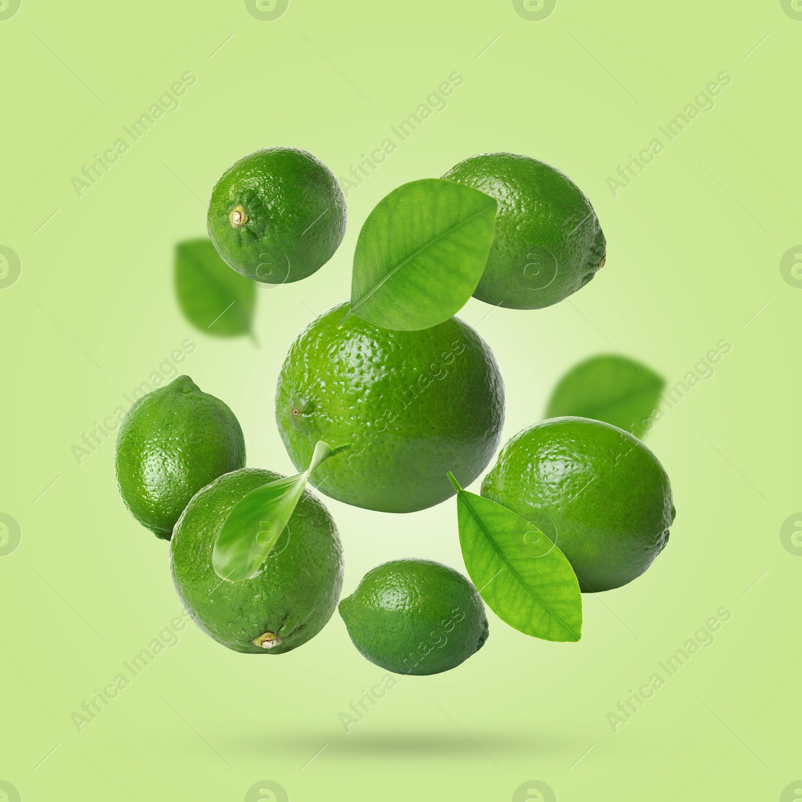 Image of Fresh lime fruits and leaves falling on light green background