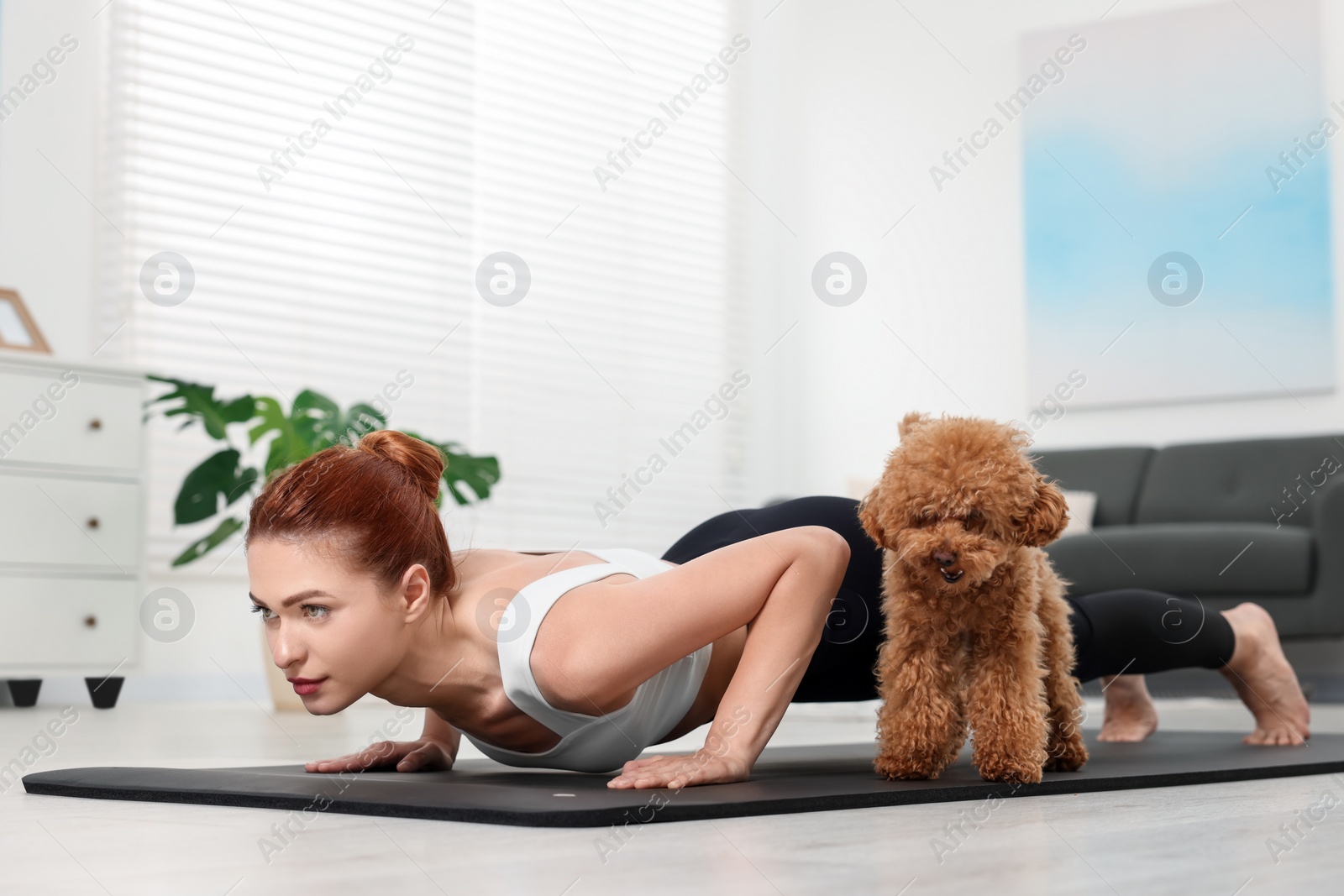 Photo of Young woman practicing yoga on mat with her cute dog at home