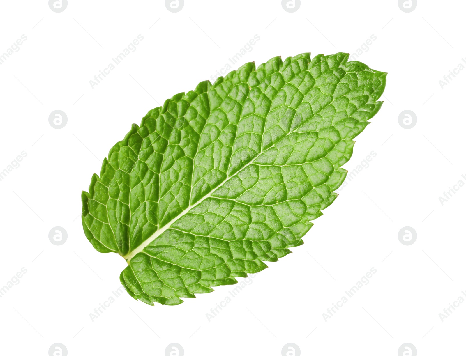 Photo of Fresh green mint leaf isolated on white, top view