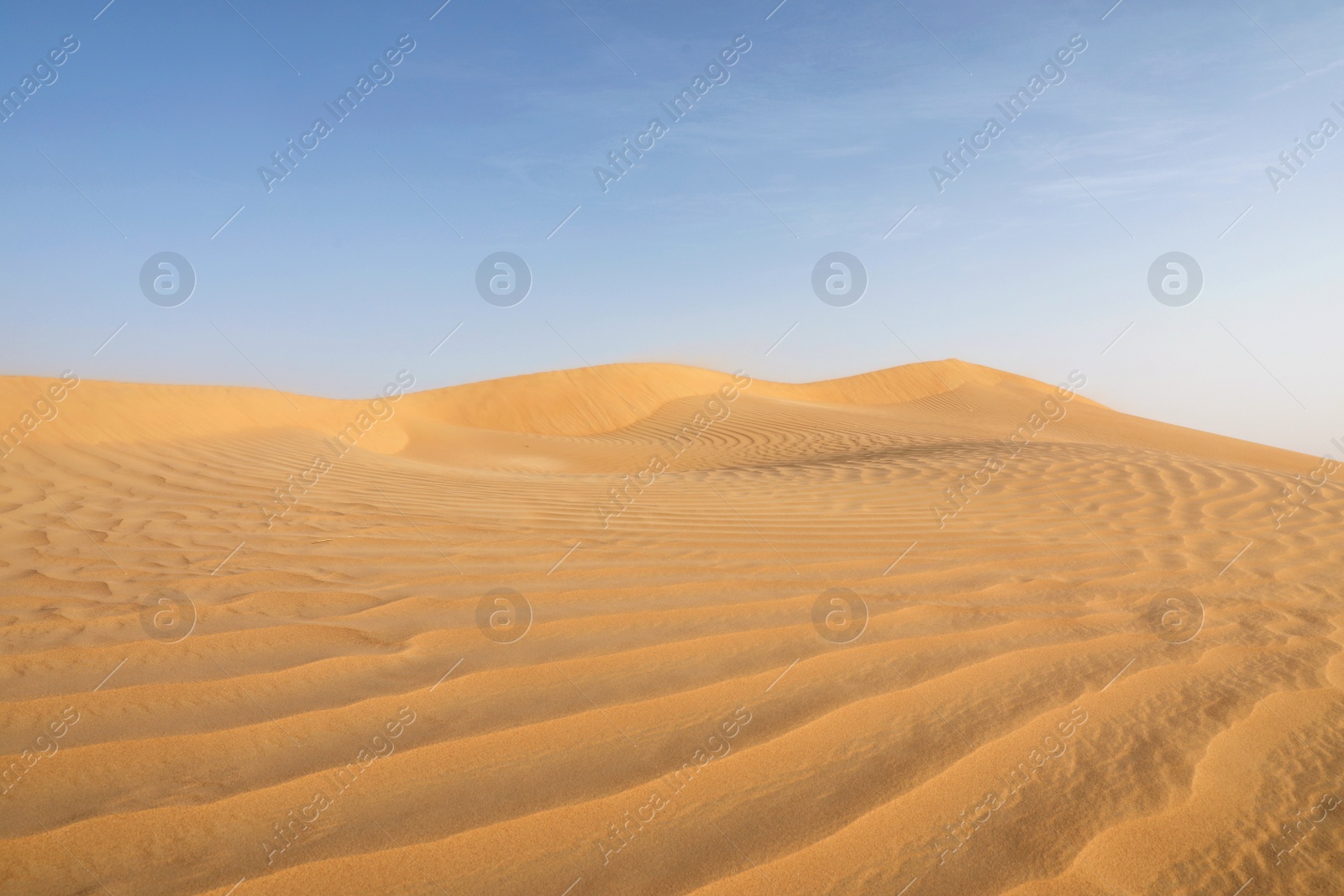 Photo of Picturesque landscape of sandy desert on hot day