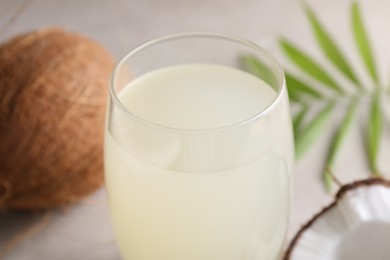 Photo of Glass of coconut water, palm leaves and nuts on light table, closeup