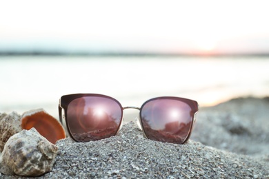 Stylish sunglasses and shell on sandy beach at sunset