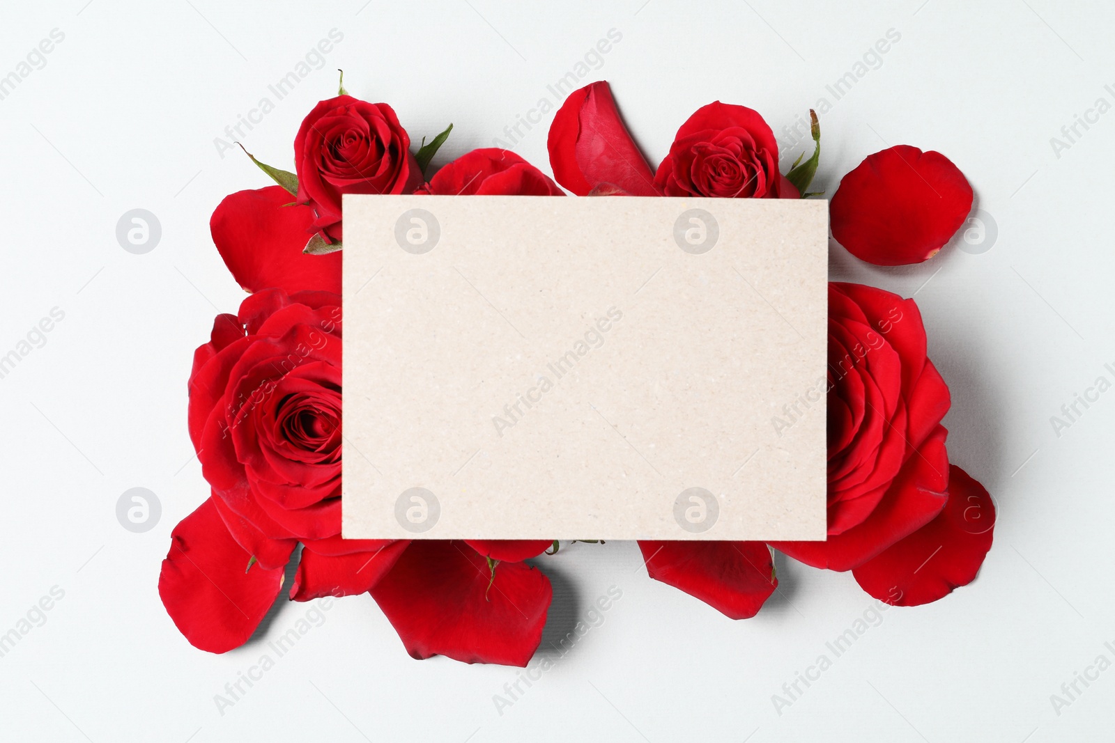 Photo of Blank card, beautiful red roses and petals on light background, top view. Space for text