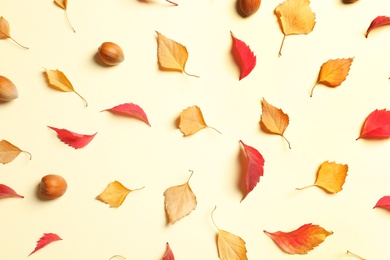 Photo of Flat lay composition with autumn leaves on color background