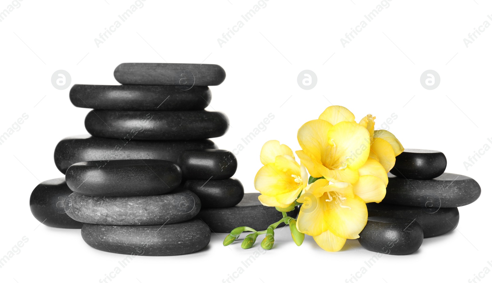 Photo of Stack of black spa stones and fresh flowers isolated on white