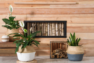 Photo of Stylish interior design with beautiful plants in pots