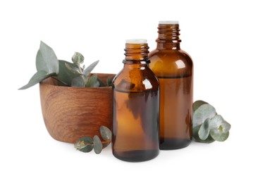 Photo of Bottles of eucalyptus essential oil and bowl with plant branches on white background