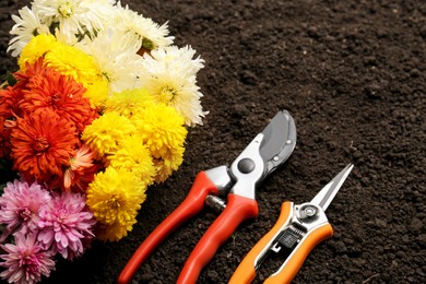 Gardening tools and flowers on fresh soil. Space for text
