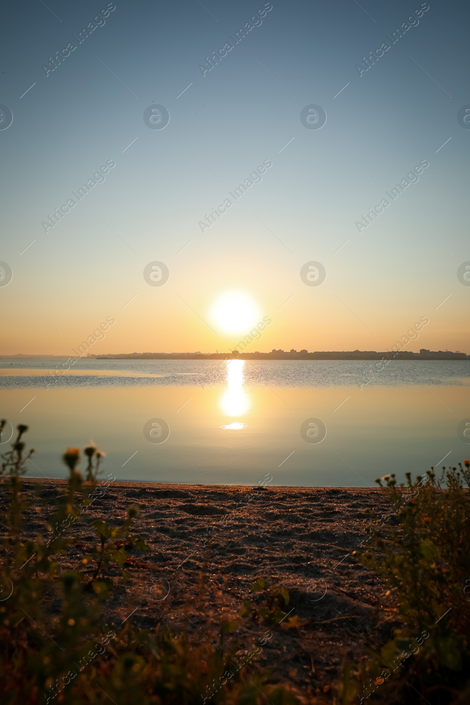 Photo of Picturesque view of beautiful sunrise on riverside. Morning sky