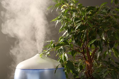 Photo of Air humidifier near houseplant against grey wall