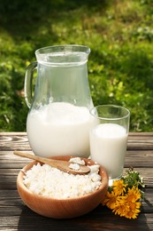 Tasty fresh milk and cottage cheese on wooden table outdoors