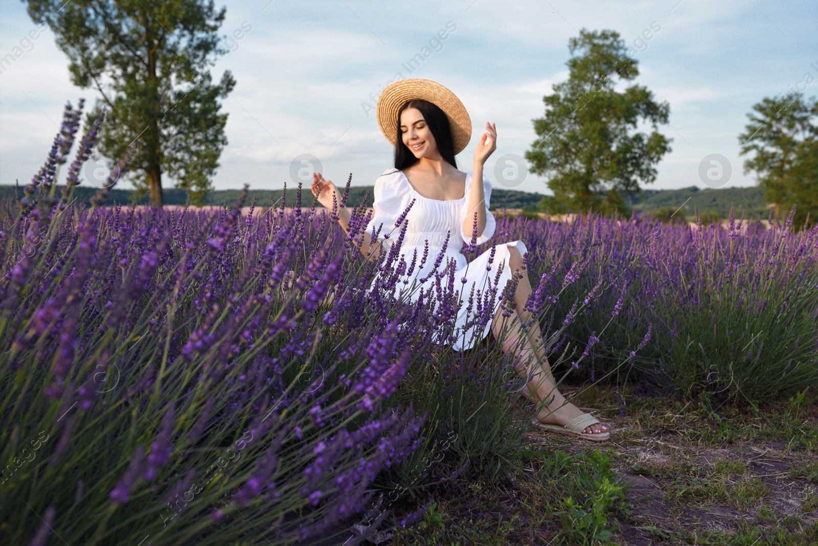 Photo of Beautiful young woman sitting in lavender field