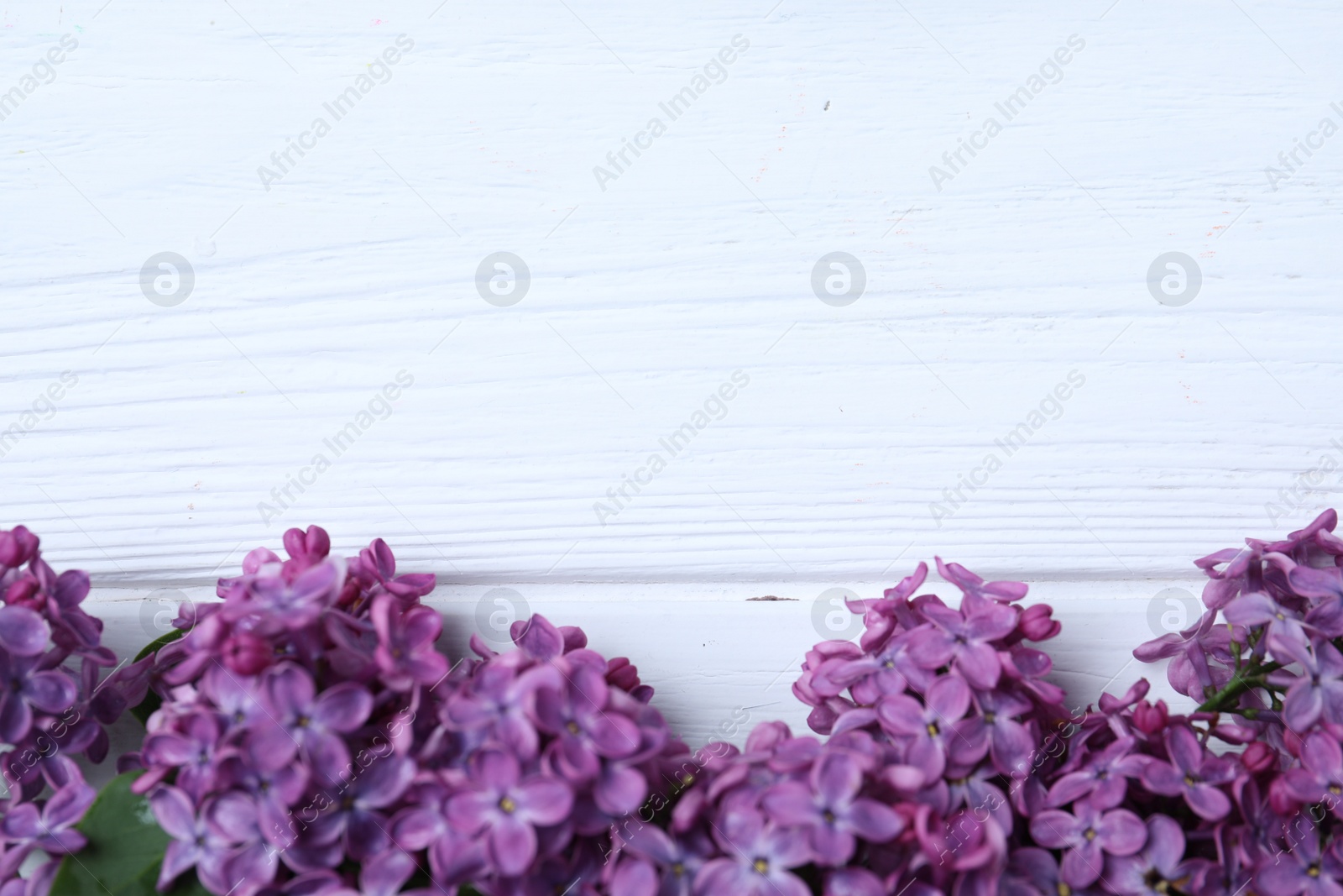 Photo of Beautiful lilac blossom on white wooden background, flat lay. Space for text