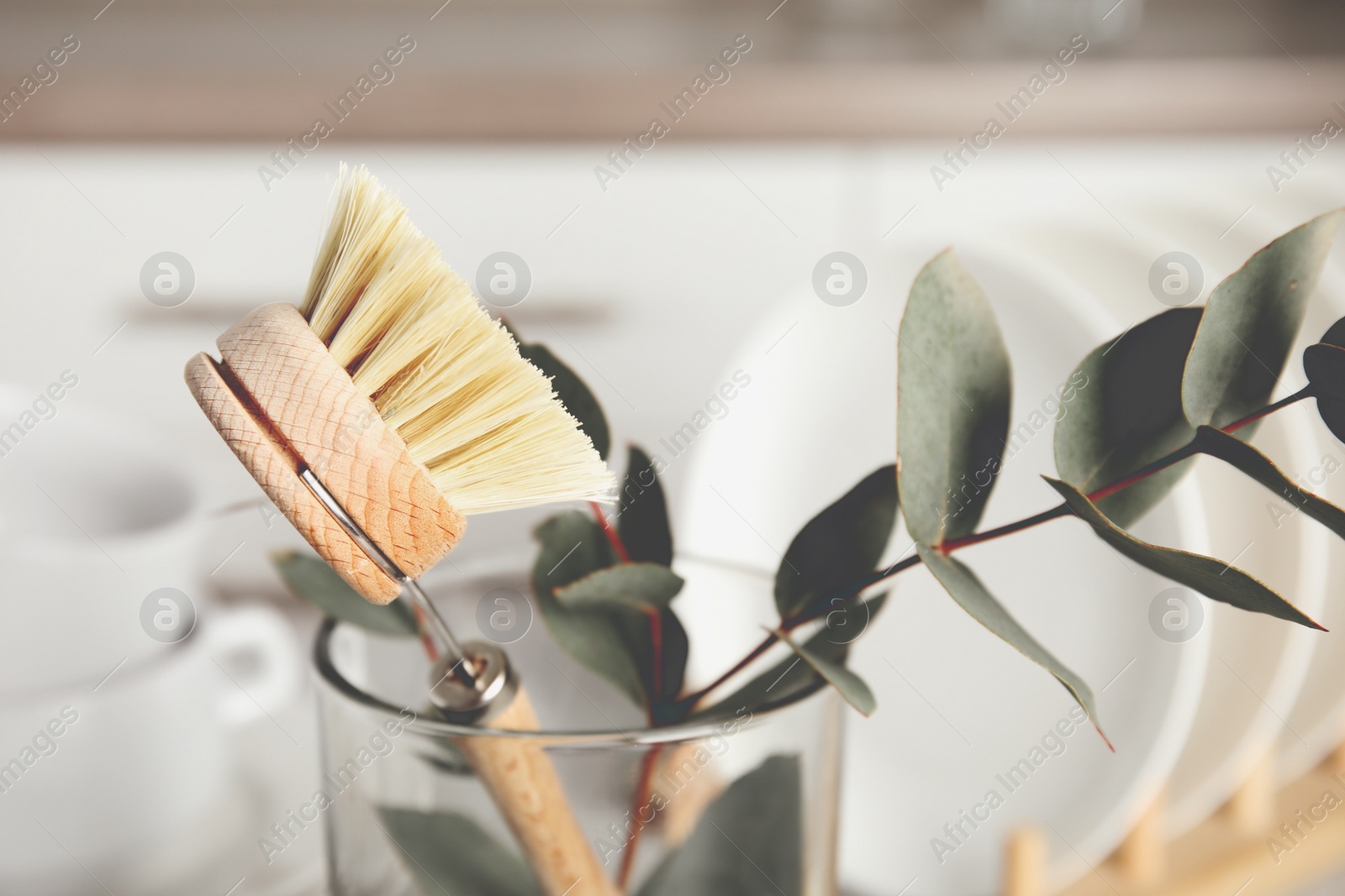 Photo of Cleaning brush for dish washing and eucalyptus branch in glass, closeup