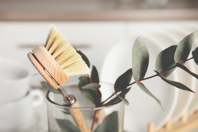 Photo of Cleaning brush for dish washing and eucalyptus branch in glass, closeup
