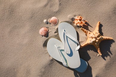 Photo of Stylish flip flops, starfish and sea shells on beach, flat lay. Space for text