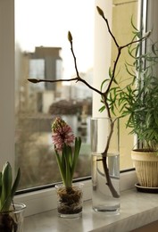 Photo of Beautiful hyacinth flower, tree branch with buds and houseplant on window sill indoors. Spring time