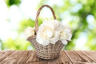 Wicker basket with beautiful white peonies on wooden table outdoors. Bokeh effect