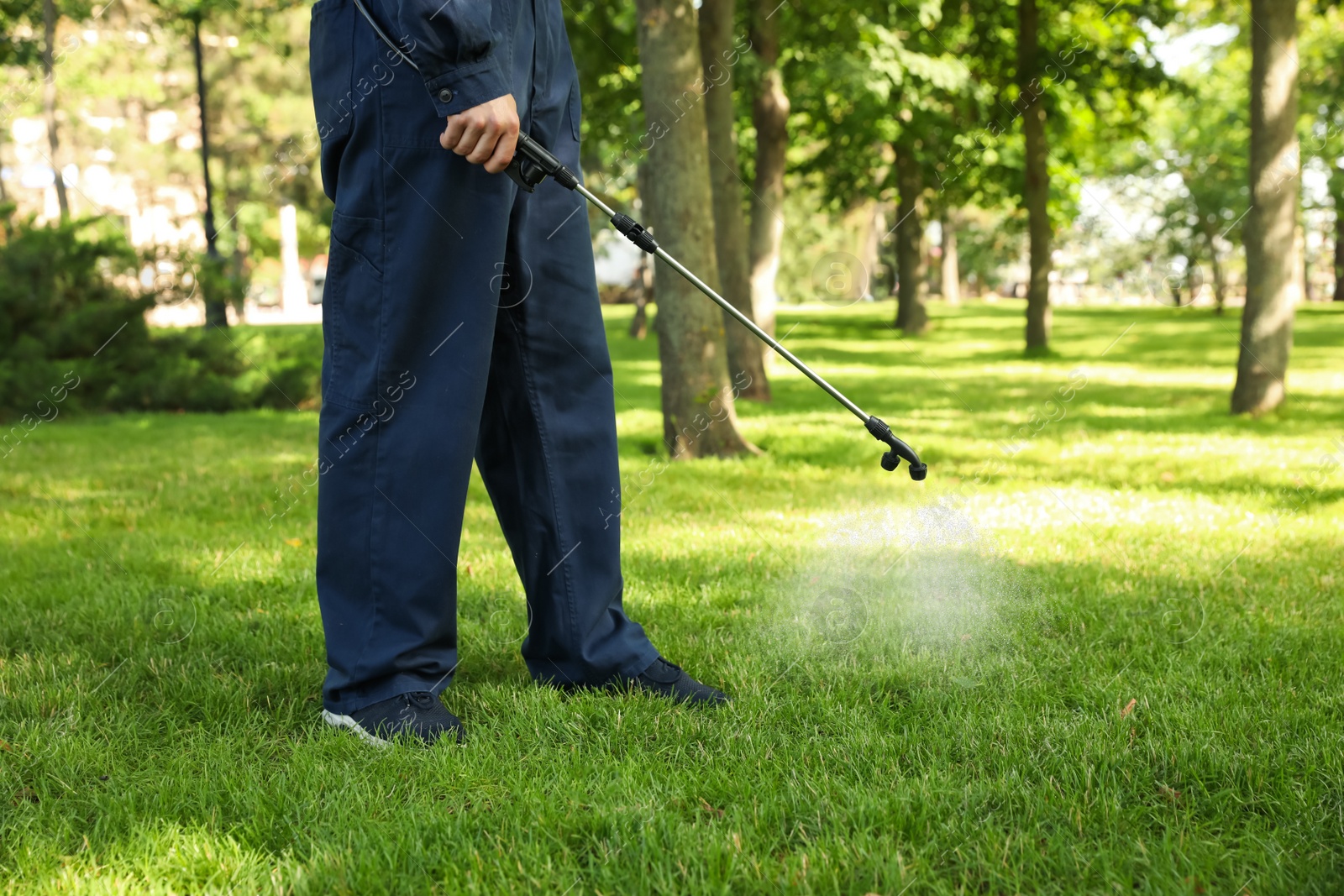 Photo of Worker spraying pesticide onto green lawn outdoors, closeup. Pest control