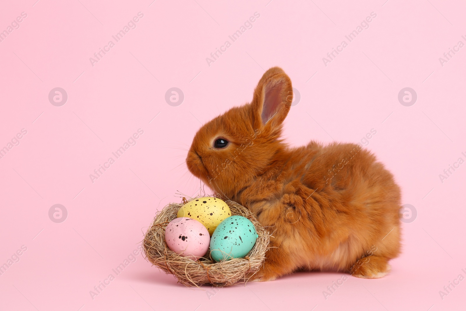Photo of Adorable fluffy bunny and decorative nest with Easter eggs on pink background