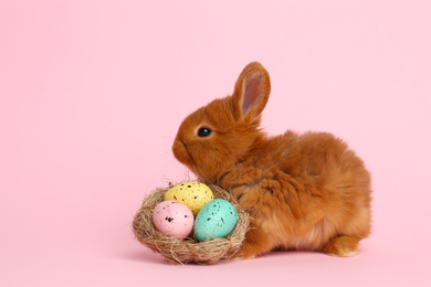 Photo of Adorable fluffy bunny and decorative nest with Easter eggs on pink background
